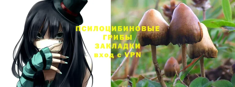 Псилоцибиновые грибы Psilocybine cubensis  купить наркотики сайты  Набережные Челны 